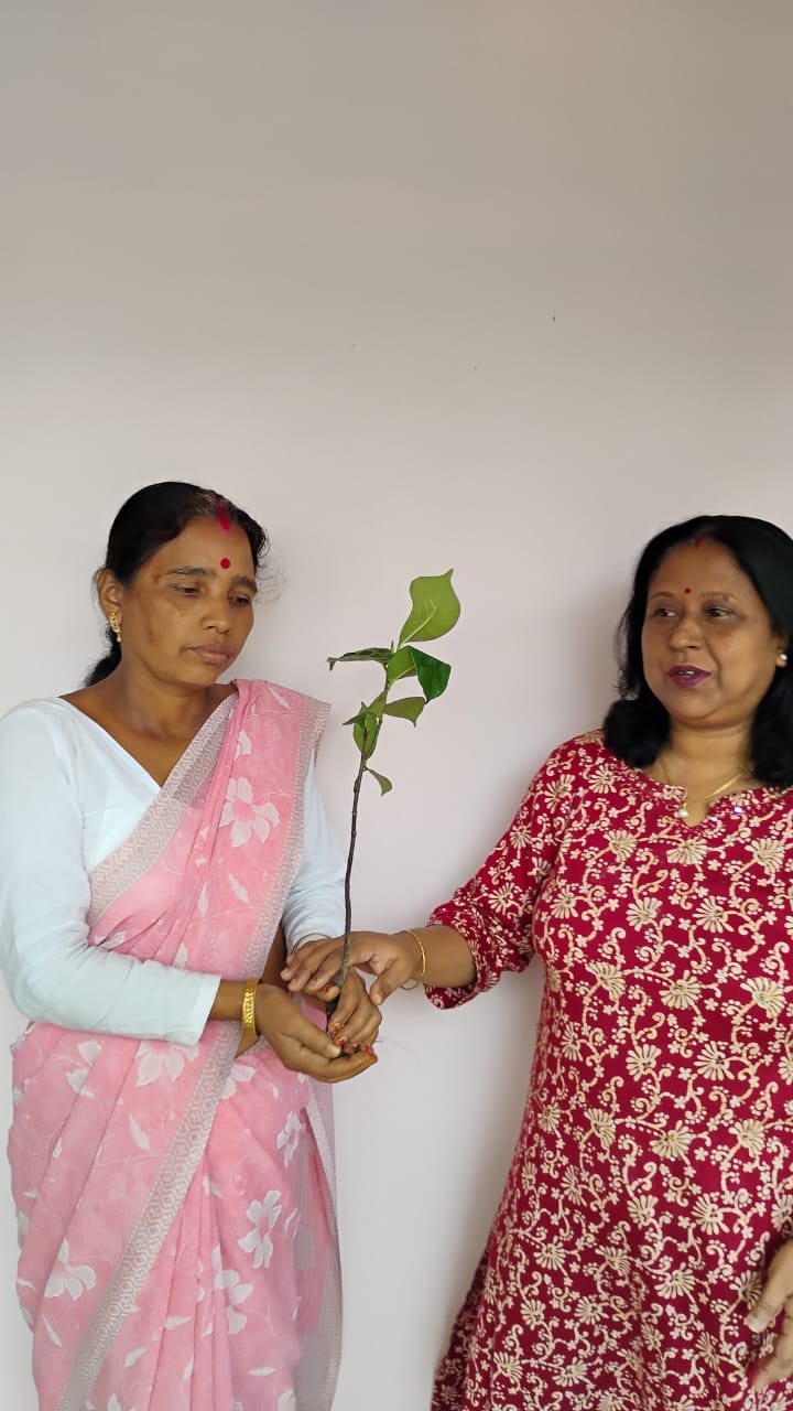 World Environment Day 2025